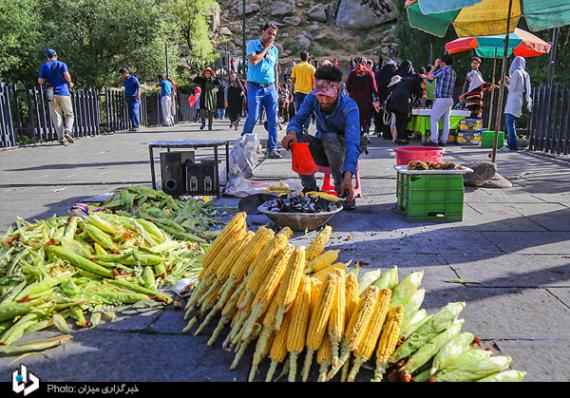 گزارش تصویری,همدان,گنجنامه,shabnamha.ir,شبنم همدان,afkl ih,شبنم ها