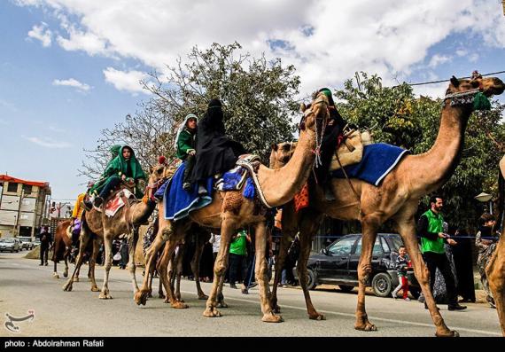 کاروان امام حسین(ع),ورود نمادین به کربلا,shabnamha.ir,شبنم همدان,afkl ih,شبنم ها