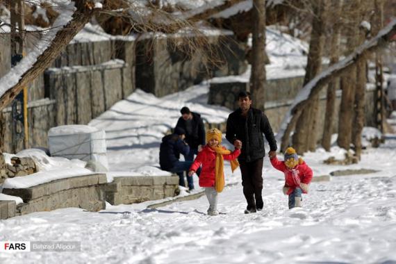 گنجنامه,آبشار گنجنامه,آبشار یخی,shabnamha.ir,شبنم همدان,afkl ih,شبنم ها; 