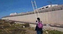 دختر ,دختر فلسطینی, نردبان, مدرسه, علم