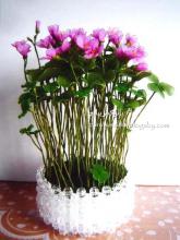  هنر در خانه,آموزش,درست کردن گل با جوراب,گل جورابی,shabnamha.ir,شبنم همدان,afkl ih